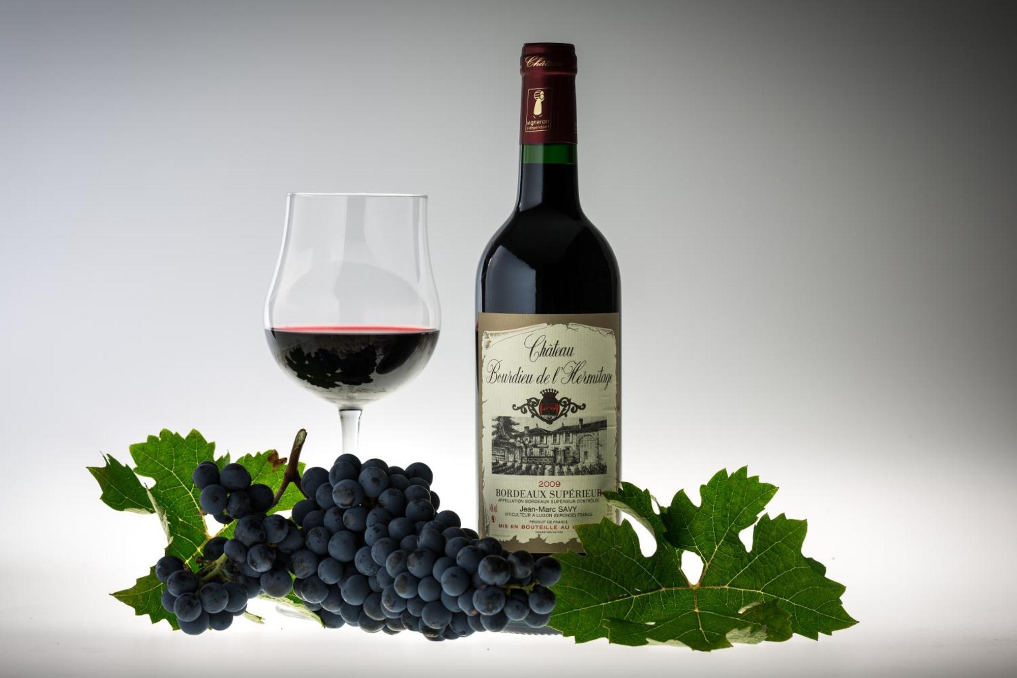 L'Hermitage D'Alienor Lugon et l’Ile du Carney 外观 照片